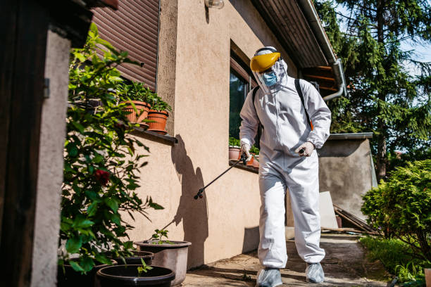 Best Mosquito Control Services  in Exandria, AL