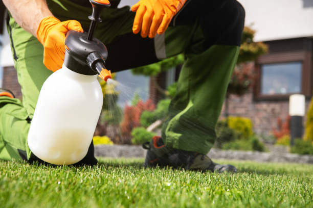 Best Pest Control Near Me  in Exandria, AL