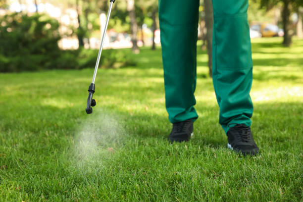 Best Local Pest Control Services  in Exandria, AL