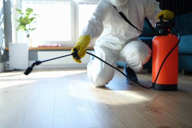 Best Flea Control Services  in Exandria, AL