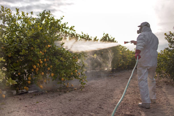 Best Affordable Pest Control Services  in Exandria, AL
