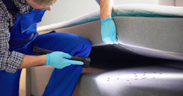 Best Pest Control Near Me in Alexandria, AL