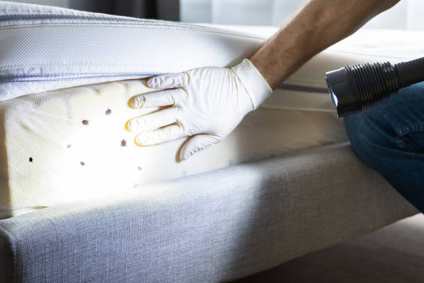 Best Pest Removal Services  in Exandria, AL