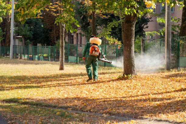 Best Exterminator Services  in Exandria, AL