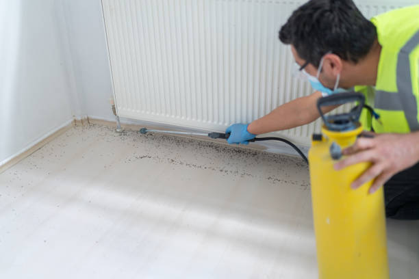Best Insect Control  in Exandria, AL